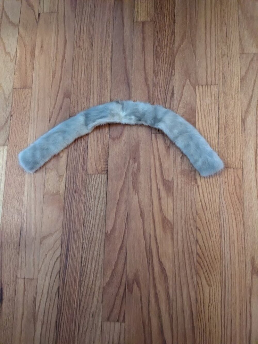 Vintage Silver Gray Fur Collar | Believed Mink | 24"